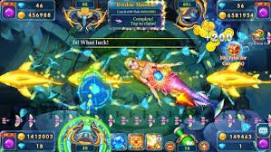 11mmk Platform Preview